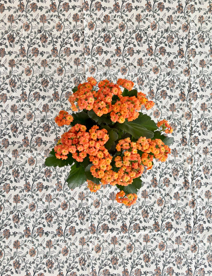 House of Mulmul - Blockprinted Cotton Table Cloth. A potted orange lantana flower plant with green leaves, photographed from above against a patterned wallpaper background.