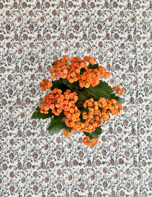 House of Mulmul - Blockprinted Cotton Table Cloth. A potted orange lantana flower plant with green leaves, photographed from above against a patterned wallpaper background.